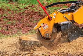 Best Aeration Services  in Auburn, ME